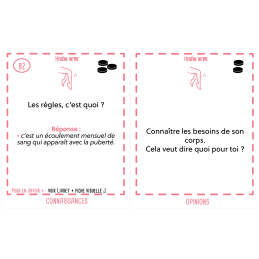 Partie du jeu Hygiène et Compagnie animée par un professionnel